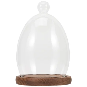 Стеклянная крышка для яиц, купола, деревянная основа, Прозрачные деревянные лотки для показа пейзажей с цветами, сохраненные в чистоте