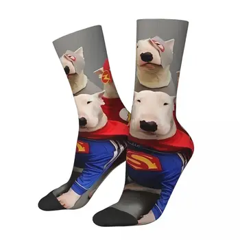 Забавные мужские носки в стиле ретро, бультерьер, домашняя собака, унисекс, новинка, с принтом Crazy Crew, подарок на носок
